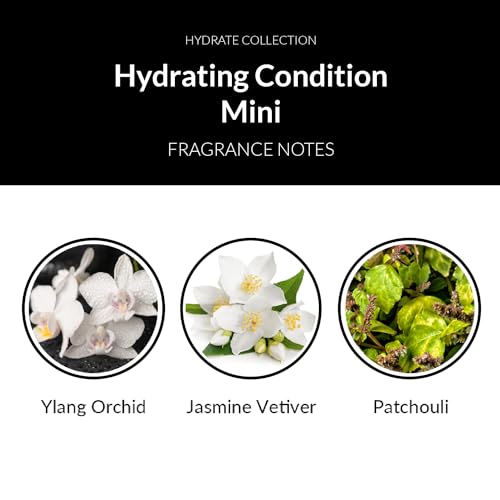 Mini Hydrating Hair Conditioner, Travel Size Moisturizing Deep Conditioner for Dry, Damaged Hair, 1.5 oz