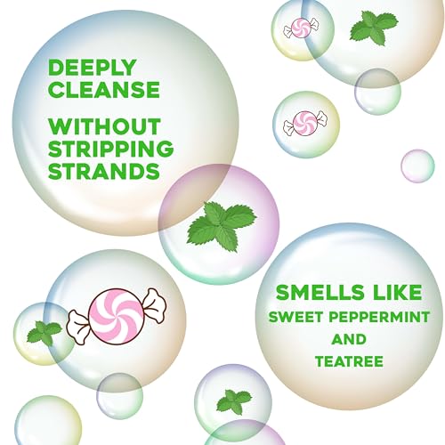 Extra Strength Hydrating Tea Tree Mint Shampoo dry scalp