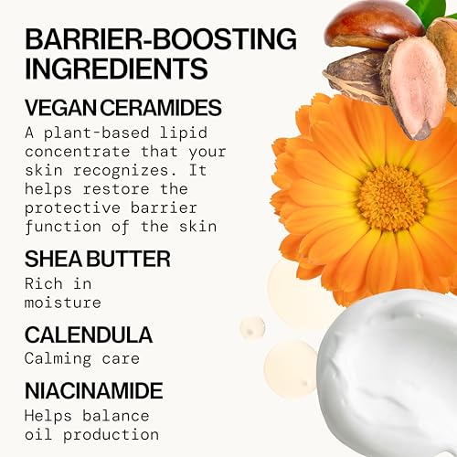 Face Cream - Vegan Ceramide Barrier Cream w/Niacinamide & Shea Butter - Hydrating Daily Fa