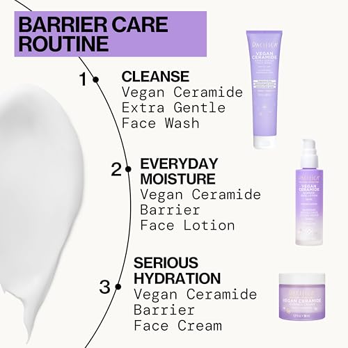 Face Cream - Vegan Ceramide Barrier Cream w/Niacinamide & Shea Butter - Hydrating Daily Fa