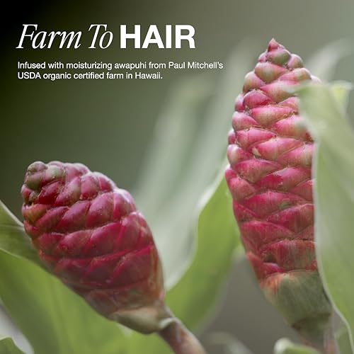 Awapuhi Shampoo, Balances Moisture + Adds Shine, For All Hair Types, Especially Fine + Static-Prone Hair, 10.14 fl. oz.