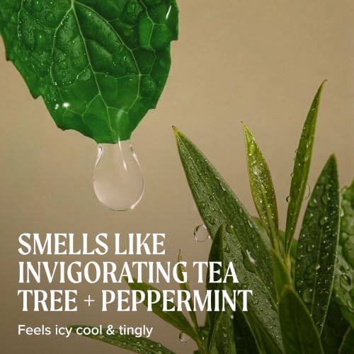 Tea Tree Special Shampoo