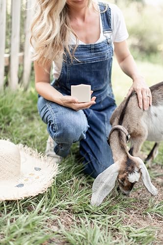 Pure Tallow + Honey Fragrance Free Soap