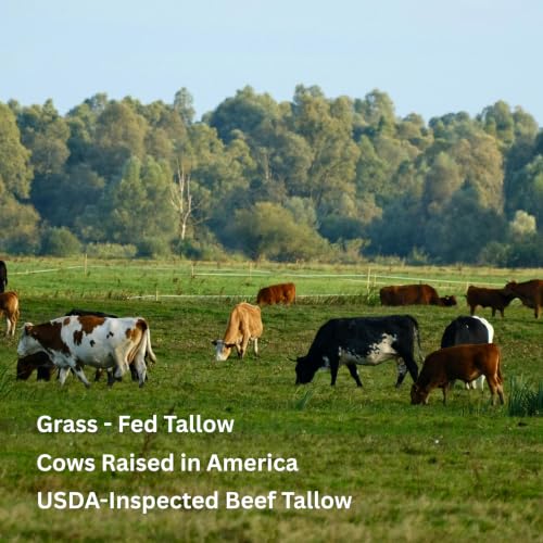THE RUSTIC LANDS (UNSCENTED - Fragrance Free) Natural Tallow Soap Bars Set of 4 - Grass Fed Beef Tallow with Raw Honey & Olive Oil - USA Soap for Sensitive Skin