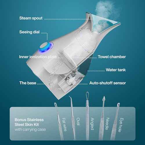 NanoSteamer Large 3-in-1