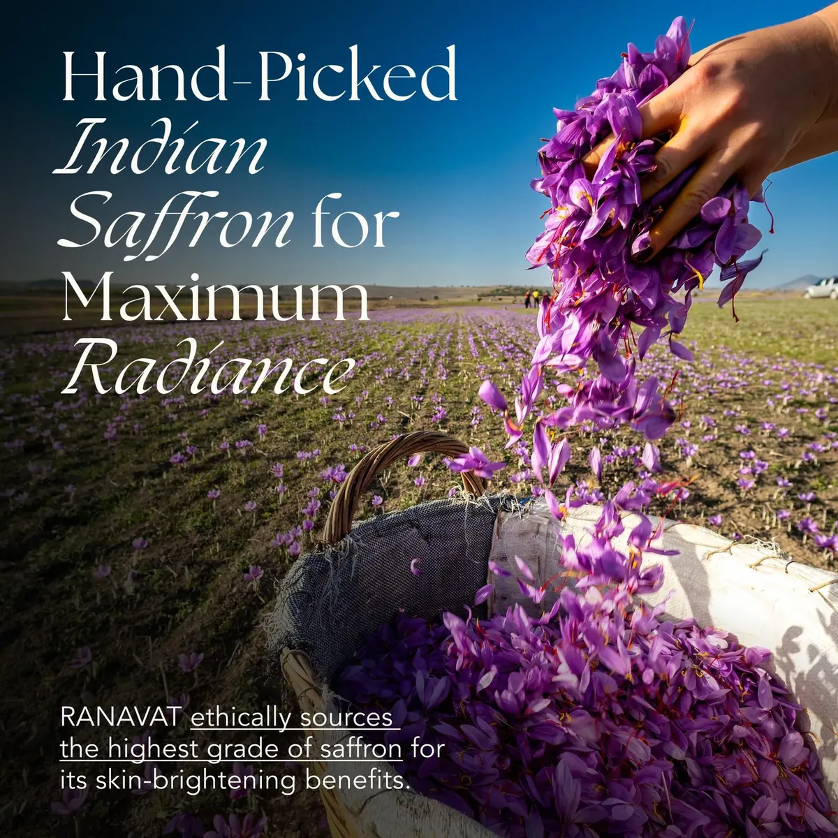 Radiant Rani Brightening Saffron Facial Essence - Hydrating Milk Toner