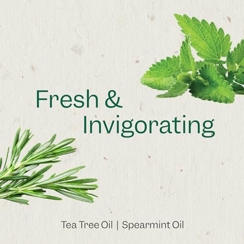 Tea Tree & Mint Purifying Body Wash for All Skin Types