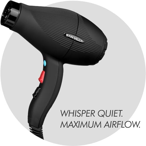 Professional Ionic Hair Dryer