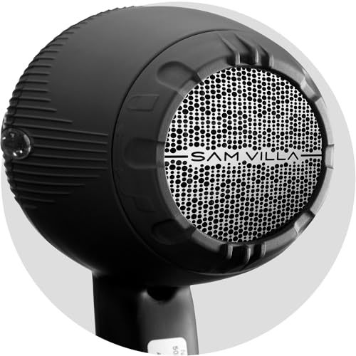 Professional Ionic Hair Dryer