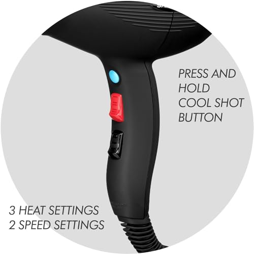 Professional Ionic Hair Dryer