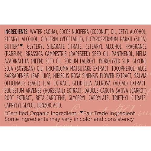 Coconut & Hibiscus Curl & Style Milk