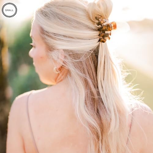 Small Hair Clip