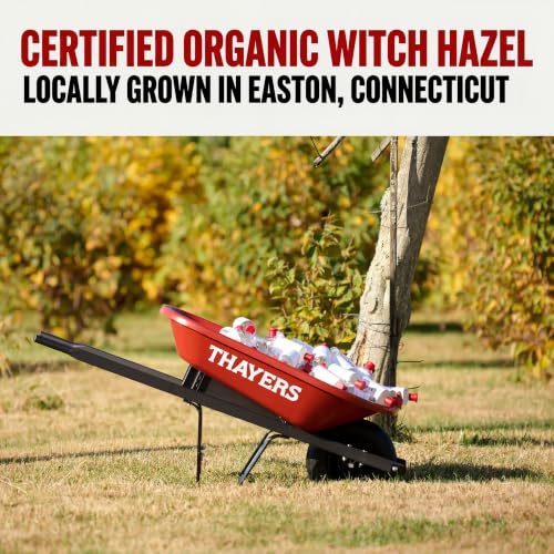 Lavender Witch Hazel Toner