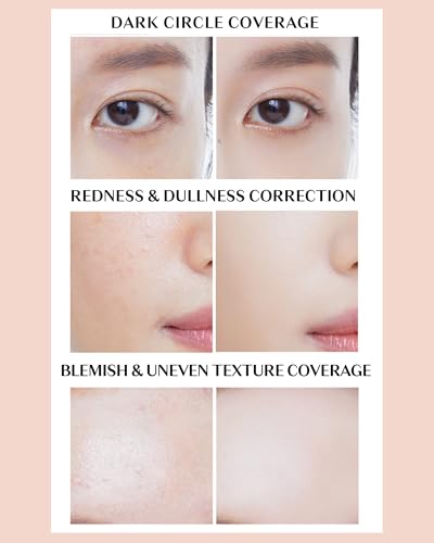 THESAEM Cover Perfection Concealer Palette