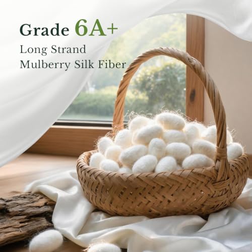 Queen Pearl White Silk Pillowcase