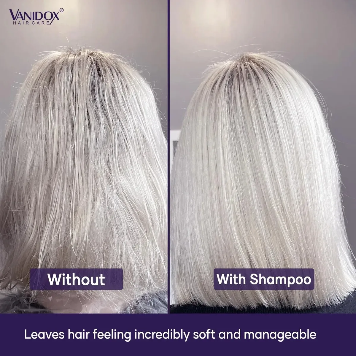 Purple Shampoo and Conditioner Set