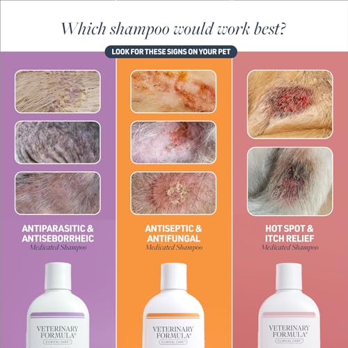 Clinical Care Antiseptic & Antifungal Shampoo