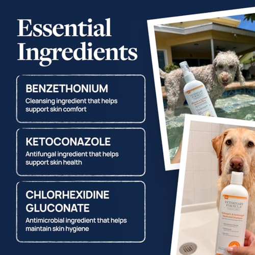 Clinical Care Antiseptic & Antifungal Shampoo