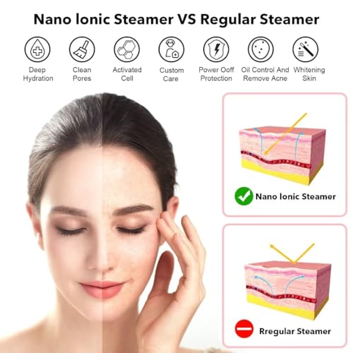 Portable Nano Face Steamer