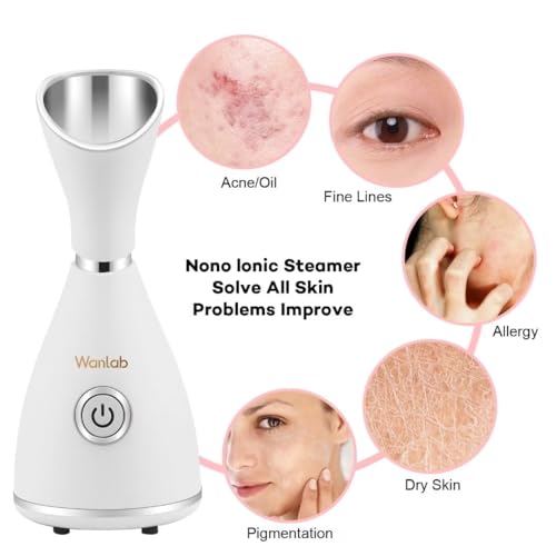 Portable Nano Face Steamer