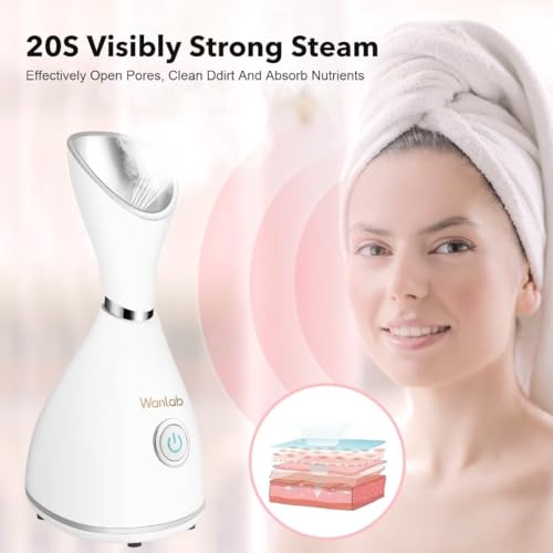 Portable Nano Face Steamer