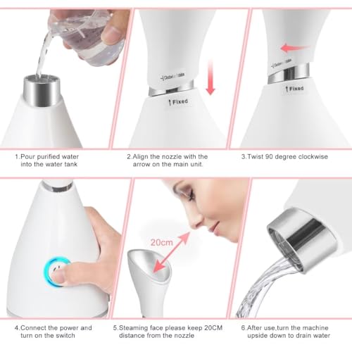Portable Nano Face Steamer