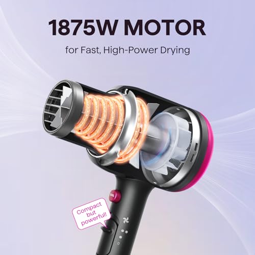 Blown Away Ionic Hair Dryer with Diffuser for Curly Hair