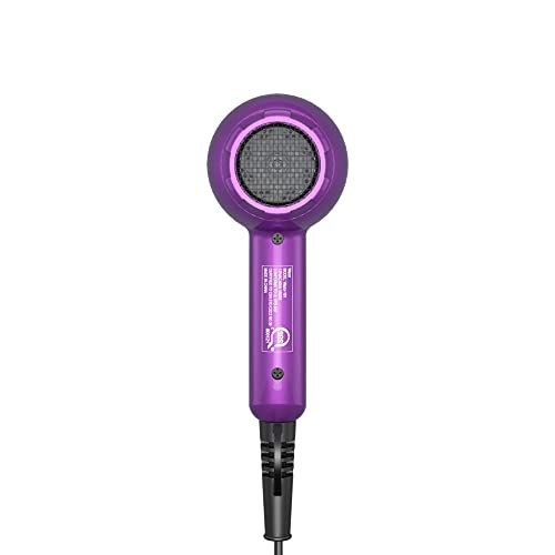 Mini Lightweight 1000W Travel Dryer