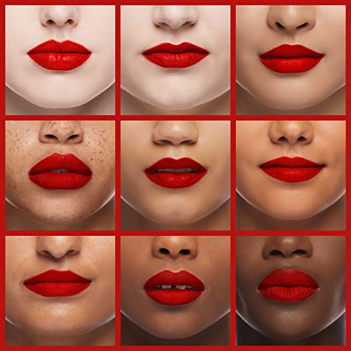 Silk Finish Lipstick, Hydrating Rich Buildable Lip Color, Formulated wit