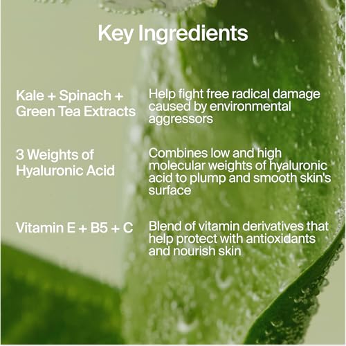 Superfood Air-Whip Moisturizer - Refill Pouch